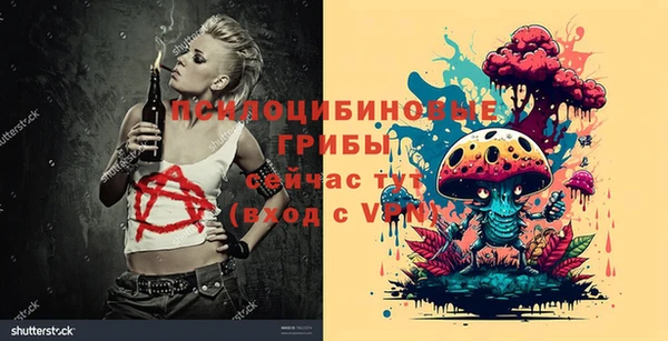 сатива Михайлов