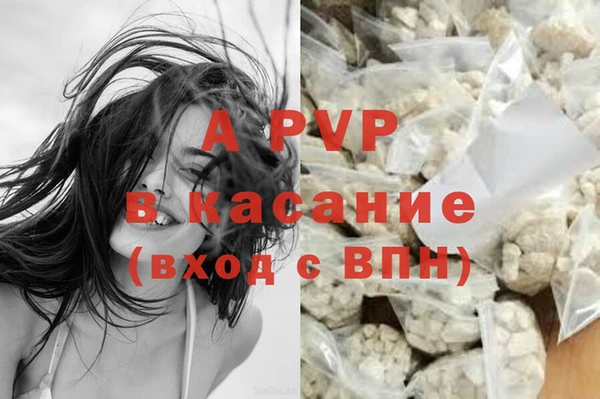 сатива Михайлов