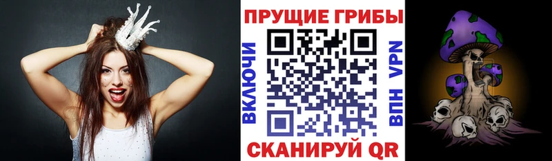 продажа наркотиков  Домодедово  Псилоцибиновые грибы мицелий 