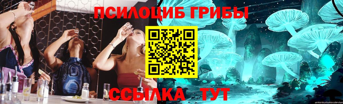 Домодедово  Галлюциногенные грибы MAGIC MUSHROOMS  Вход с VPN 